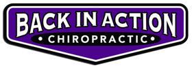 Chiropractic Waunakee WI Back in Action Chiropractic Logo